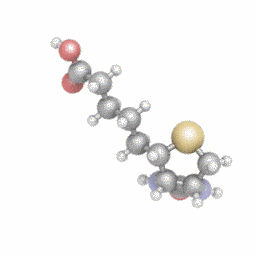Біотин, Biotin, 21st Century, 800 мкг, 110 таблеток - фото