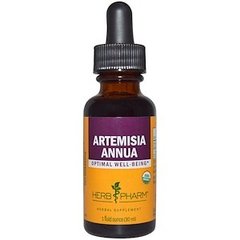 Полин однорічний, Artemisia Annua, Herb Pharm, 30 мл - фото