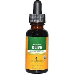 Олива, екстракт листа, Olive, Herb Pharm, органік, 30 мл - фото
