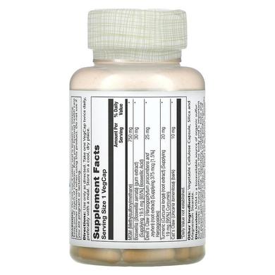 Метилсульфонілметан, МСМ, MSM, Solaray, 750 мг, 90 капсул - фото
