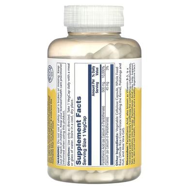 Пантотеновая кислота, Pantothenic Acid, Solaray, 500 мг, 250 вегетарианских капсул - фото