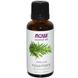 Масло розмарина (Rosemary), Now Foods, Essential Oils, 30 мл, фото – 1