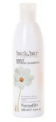 Шампунь для глибокого очищення волосся BACK BAR ментоловий, FarmaVita, 250 мл - фото
