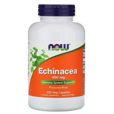 Ехінацея (Echinacea Purpurea), Now Foods, 400 мг, 250 капсул - фото