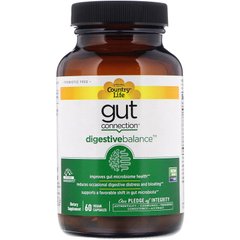 Пищеварительная формула, Digestive Balance Gut Connection, Country Life, 60 растительных капсул - фото