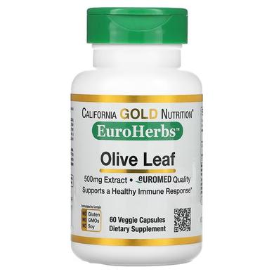 Олива, экстракт листьев, Olive Leaf XT, California Gold Nutrition, EuroHerbs, 500 мг, 60 капсул - фото