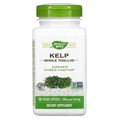 Ламінарія, Kelp, Nature's Way, 600 мг, 180 капсул - фото