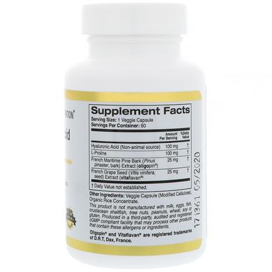 Гиалуроновая кислота, California Gold Nutrition, 100 мг, 60 капсул - фото