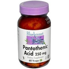 Пантотеновая кислота, Pantothenic Acid, Bluebonnet Nutrition, 250 мг, 60 капсул - фото
