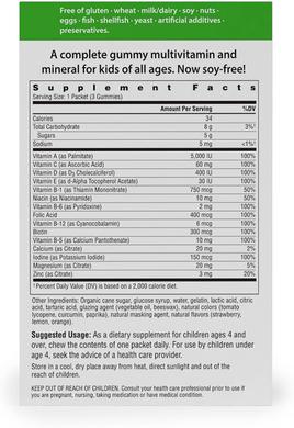 Витамины для детей, Multivitamin & Multimineral, Rainbow Light, 30 пакетиков по 3шт. - фото
