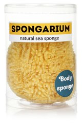 Натуральная морская губка (мочалка) SPONGARIUM, Spongarium, 13-14 см - фото