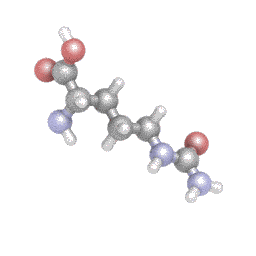 Цитруллин, L-Citrulline, Source Naturals, порошок, 100 г - фото