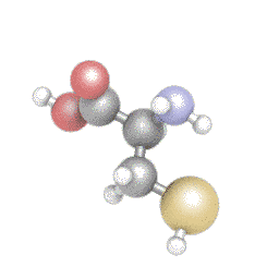 Цистеин, L-Cysteine, Twinlab, 60 капсул - фото
