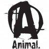 Animal Nutrition  логотип