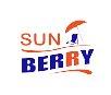 Sun Berry логотип