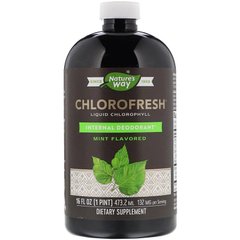 Жидкий хлорофилл (мята), Liquid Chlorophyll, Nature's Way, 473,2 мл - фото