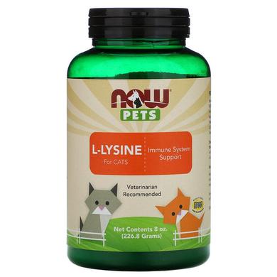 Лізин для кішок, L-Lysine, Now Foods, Now Pets, 226.8 г - фото