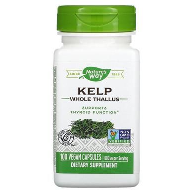 Ламінарія, Kelp, Nature's Way, 600 мг, 100 капсул - фото