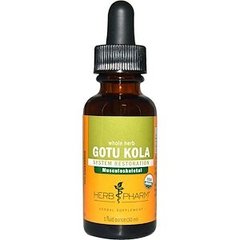 Готу кола, Gotu Kola, Herb Pharm, экстракт, органик, 30 мл - фото