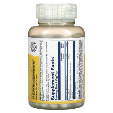 Витамин С липосомальный, Liposomal Vitamin C, Solaray, 500 мг, 100 вегетарианских капсул - фото