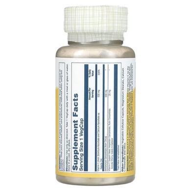Вітамін С, Reacta-C, Solaray, 500 мг, 60 капсул - фото