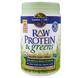 Рослинний білок сирого і зелень, Raw Protein & Greens, Garden of Life, смак ванілі, органік, 548 г, фото – 1