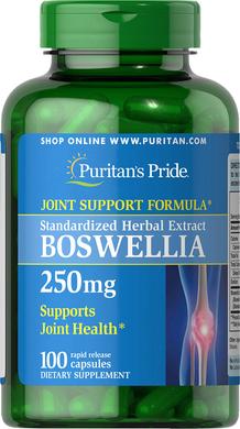 Босвеллия стандартизированный экстракт, Boswellia Standardized Extract, Puritan's Pride, 100 капсул - фото