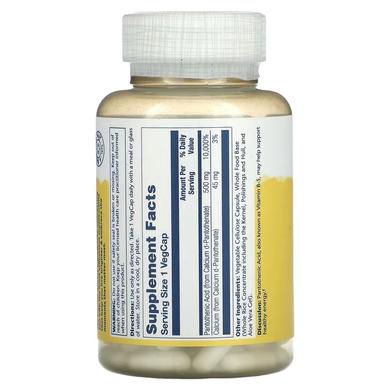 Пантотенова кислота, Pantothenic Acid, Solaray, 500 мг, 100 вегетаріанських капсул - фото