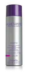 Шампунь для фарбованого волосся Amethyste, FarmaVita, 250 мл - фото