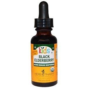 Сироп для дітей з чорної бузини, без спирту (Black Elderberry), Herb Pharm, 30 мл - фото