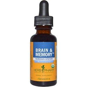 Для роботи мозку і пам'яті, Brain & Memory, Herb Pharm, суміш екстрактів, органік, 30 мл - фото