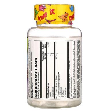 Пробиотики Дино-дофилус для детей, Dino-Dophilus, Kal, вкус вишни, 60 шт - фото