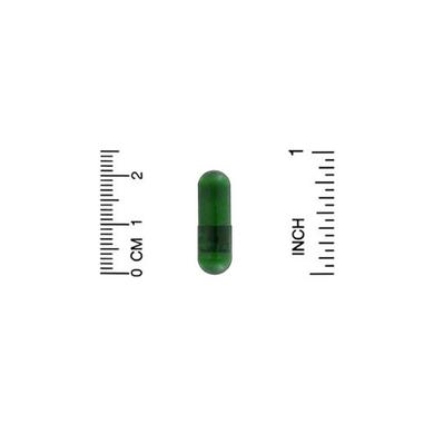 Ехінацея, Echinacea, California Gold Nutrition, EuroHerbs, 400 мг, 60 капсул - фото