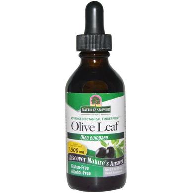 Экстракт листьев оливы, Olive Leaf, Nature's Answer, без спирта, 1500 мг, 60 мл - фото