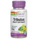 Трибулус, Tribulus Extract, Solaray, для мужчин, 450 мг, 60 вегетарианских капсул, фото – 1