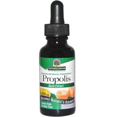 Прополис, Propolis, Nature's Answer, без спирта, 2000 мг, 30 мл - фото