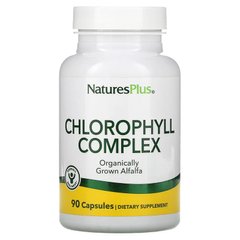 Хлорофіл, Chlorophyll, Nature's Plus, 90 капсул - фото