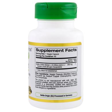 Кропива, Nettle Root, California Gold Nutrition, EuroHerbs, 250 мг, 60 капсул - фото