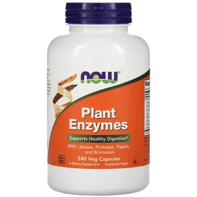 Энзимы (Plant Enzymes), Now Foods, ферменты, 240 кап - фото