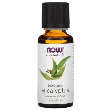 Масло эвкалипта (Eucalyptus Globulus), Now Foods, Essential Oils, 30 мл - фото