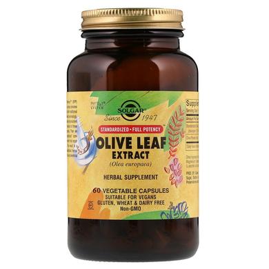 Экстракт листьев оливы, Olive Leaf, Solgar, стандартизированный, 450 мг, 60 капсул - фото