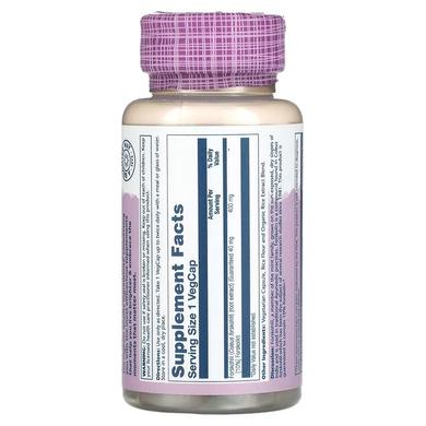 Форсколін, Super Forskohlii, Solaray, Ayurvedic Herbs, 400 мг, 60 капсул - фото