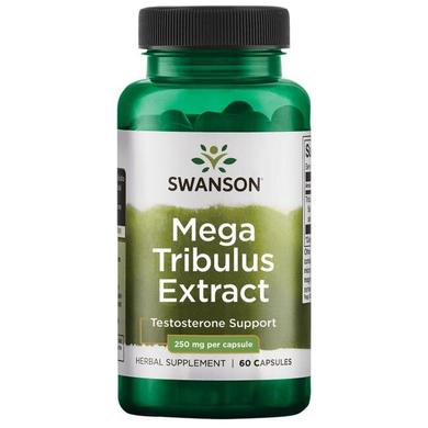 Трибулус, Mega Tribulus, Swanson, 250 мг, 60 капсул - фото