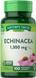 Ехінацея, Echinacea, Nature's Truth 1300 мг, 100 капсул, фото – 1