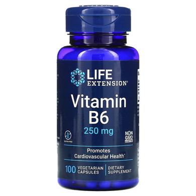 Вітамін В6 (піридоксин), Vitamin B6, Life Extension, 250 мг, 100 капсул - фото