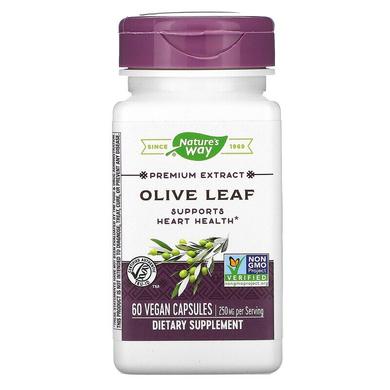 Екстракт листя оливи, Olive Leaf, Nature's Way, стандартизований, 60 капсул - фото
