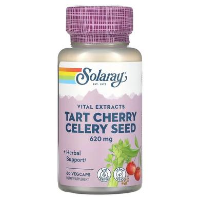 Екстракт вишні і насіння селери, Tart Cherry Celery Seed, Solaray, 620 мг, 60 вегетаріанських капсул - фото