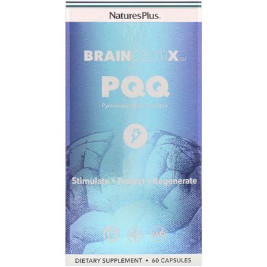 Пірролохінолінхінон PQQ, BrainCeutix, Nature's Plus, 20 мг, 60 капсул - фото