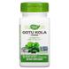 Готу Кола, 950 мг, Gotu Kola, Nature's Way, 100 вегетарианских капсул, фото – 1