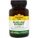 Екстракт листя оливи, Olive Leaf Extract, Country Life, 150 мг, 60 капсул, фото – 1